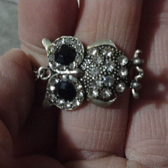 AEROPOSTALE BRASS-TONE OWL AND UNBRANDED SILVER-TONE OWL PENDANT NECKLACES - Picture 5 of 15